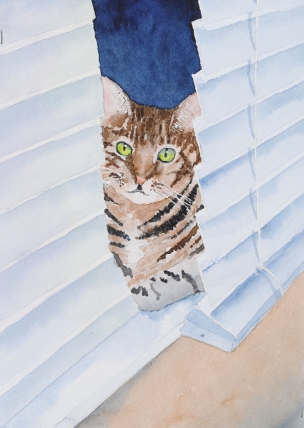 Click here to view aslan by sherman barnes
