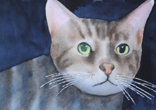 Click here to view cat3 by sherman barnes