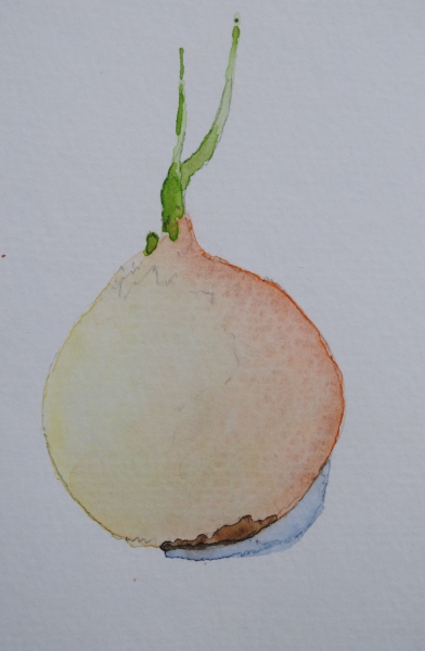 Click here to view onion by sherman barnes