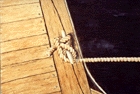 Click here to view dockline by sherman barnes
