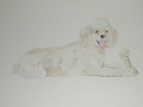 Click here to view babara's dog by sherman barnes