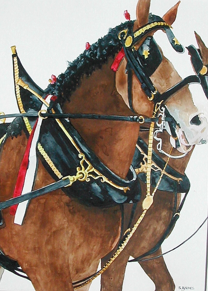 Click here to view budweiser horses by sherman barnes