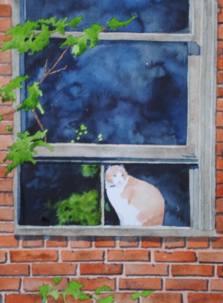 Click here to view cat/window by sherman barnes