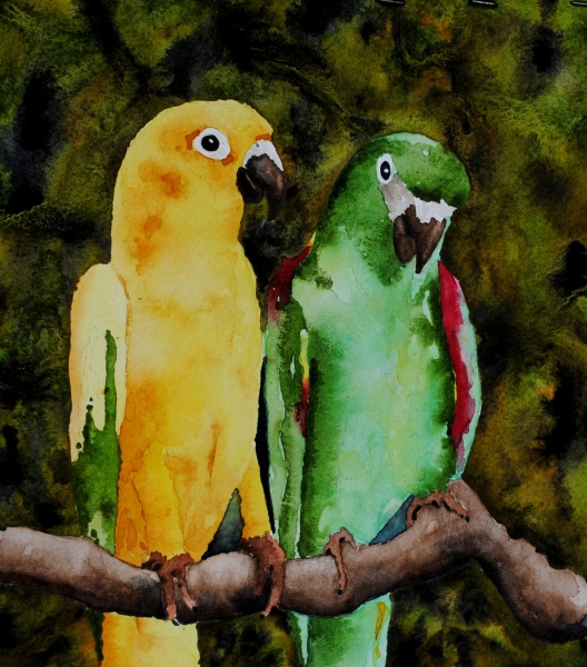 Click here to view parrots 1 by sherman barnes