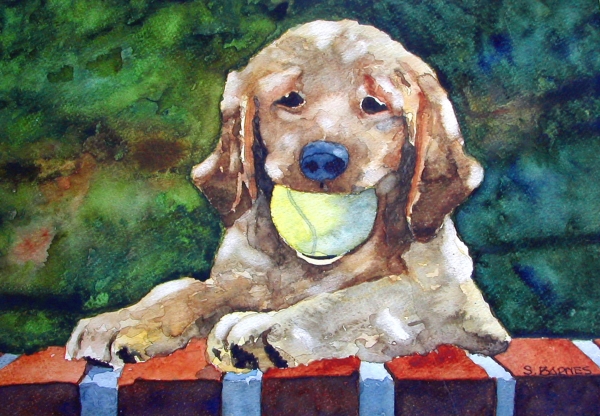 Click here to view rufus by sherman barnes