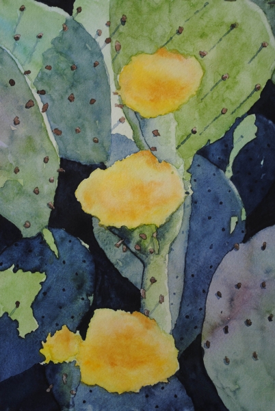 Click here to view backyard cactus by sherman barnes