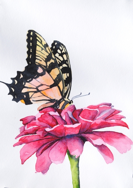 Click here to view butterfly by sherman barnes