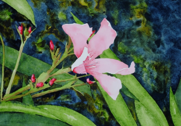 Click here to view pink by sherman barnes