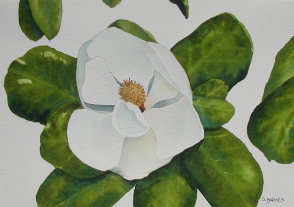 Click here to view magnolia by sherman barnes