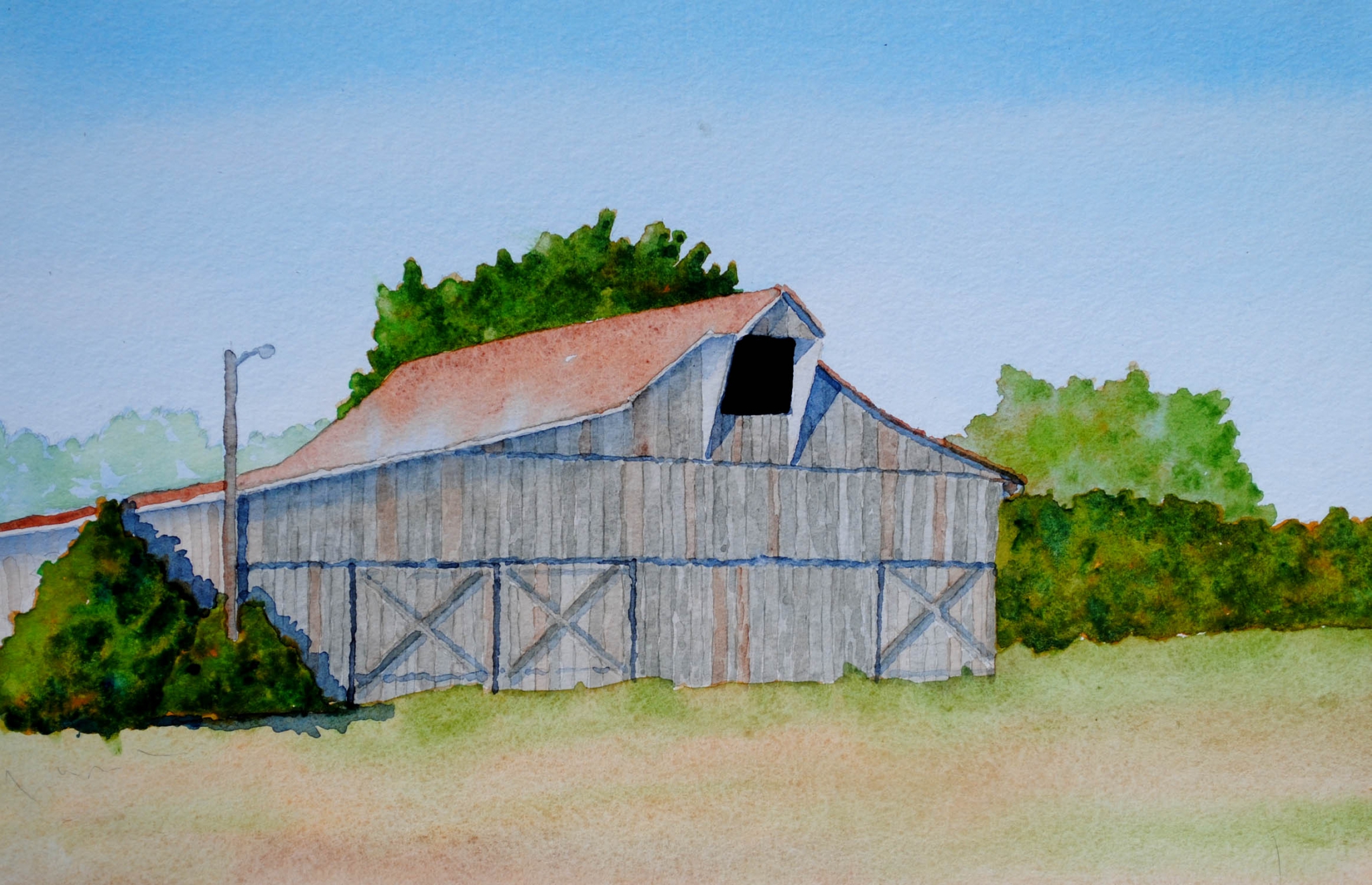 Click here to view tobacco barn by sherman barnes