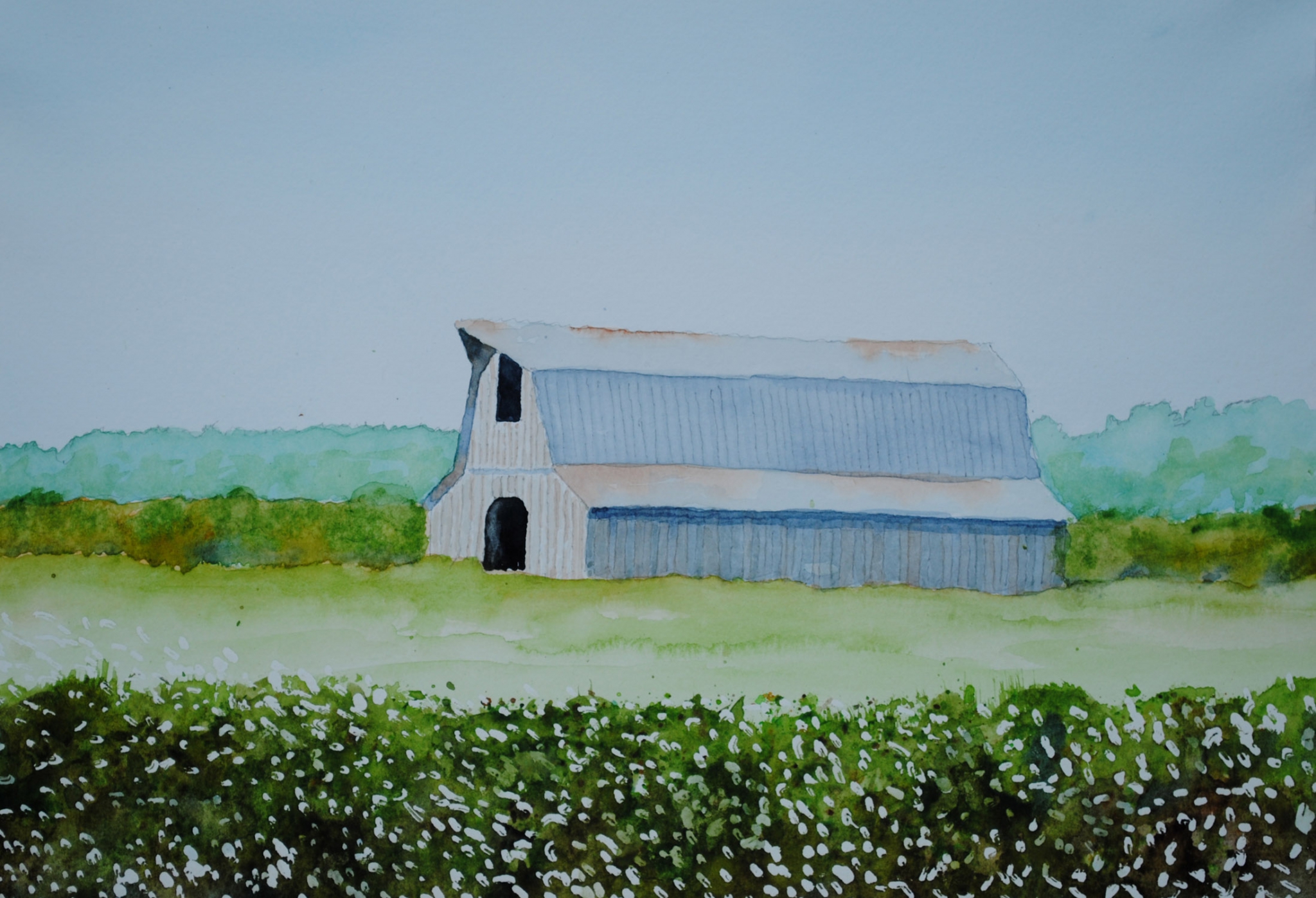 Click here to view cotton field by sherman barnes
