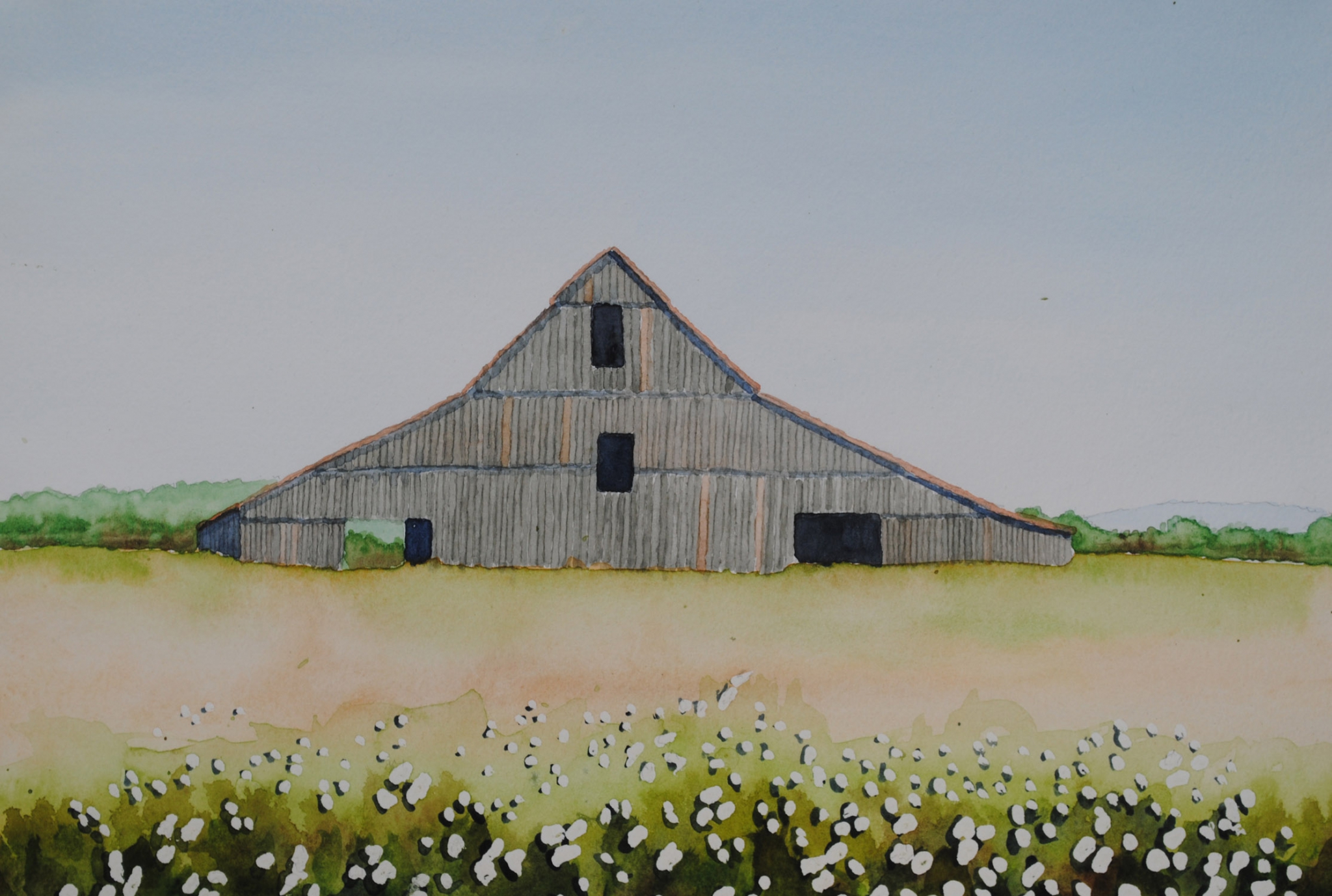 Click here to view old barn with cotton by sherman barnes