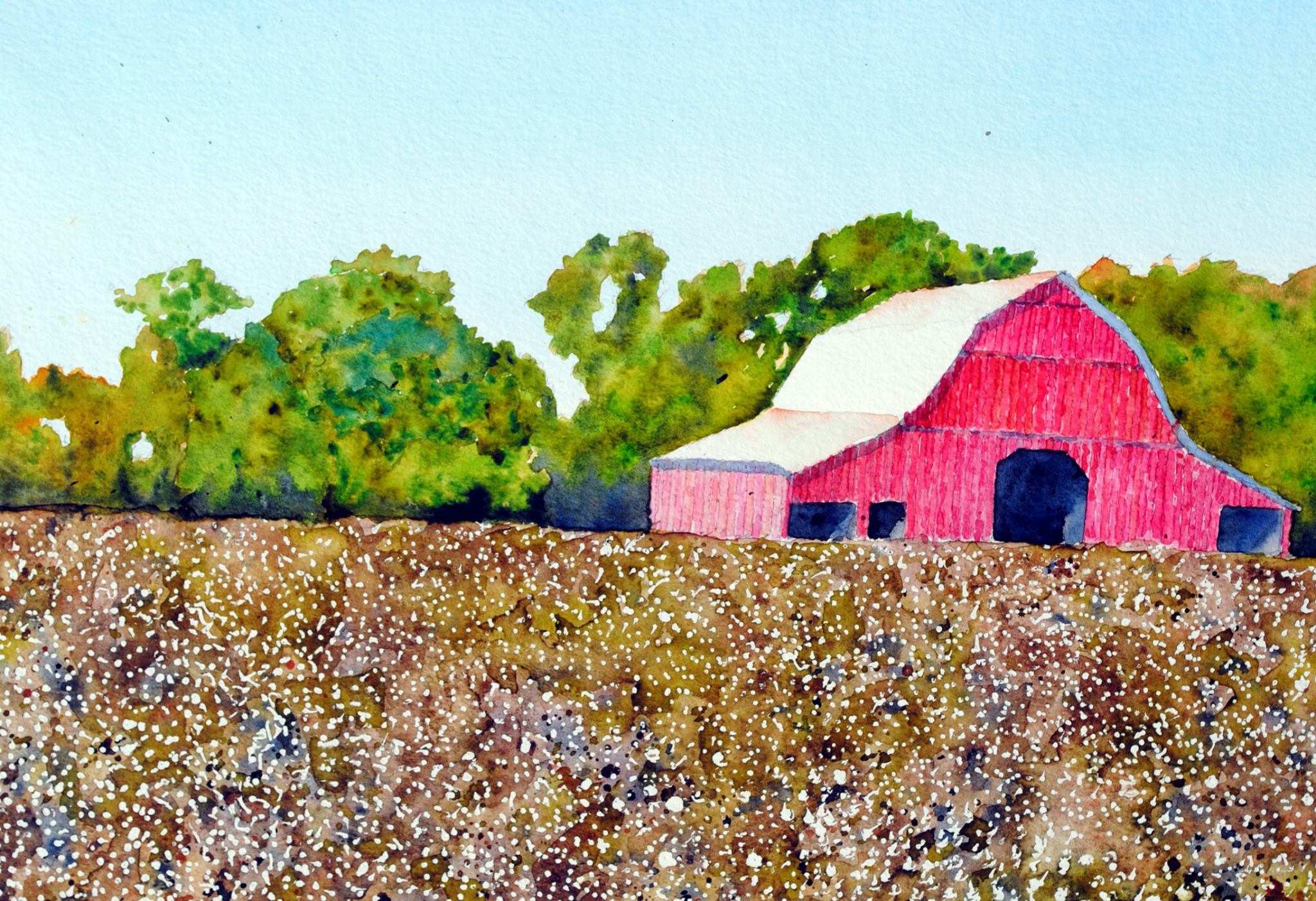 Click here to view red barn with cotton by sherman barnes