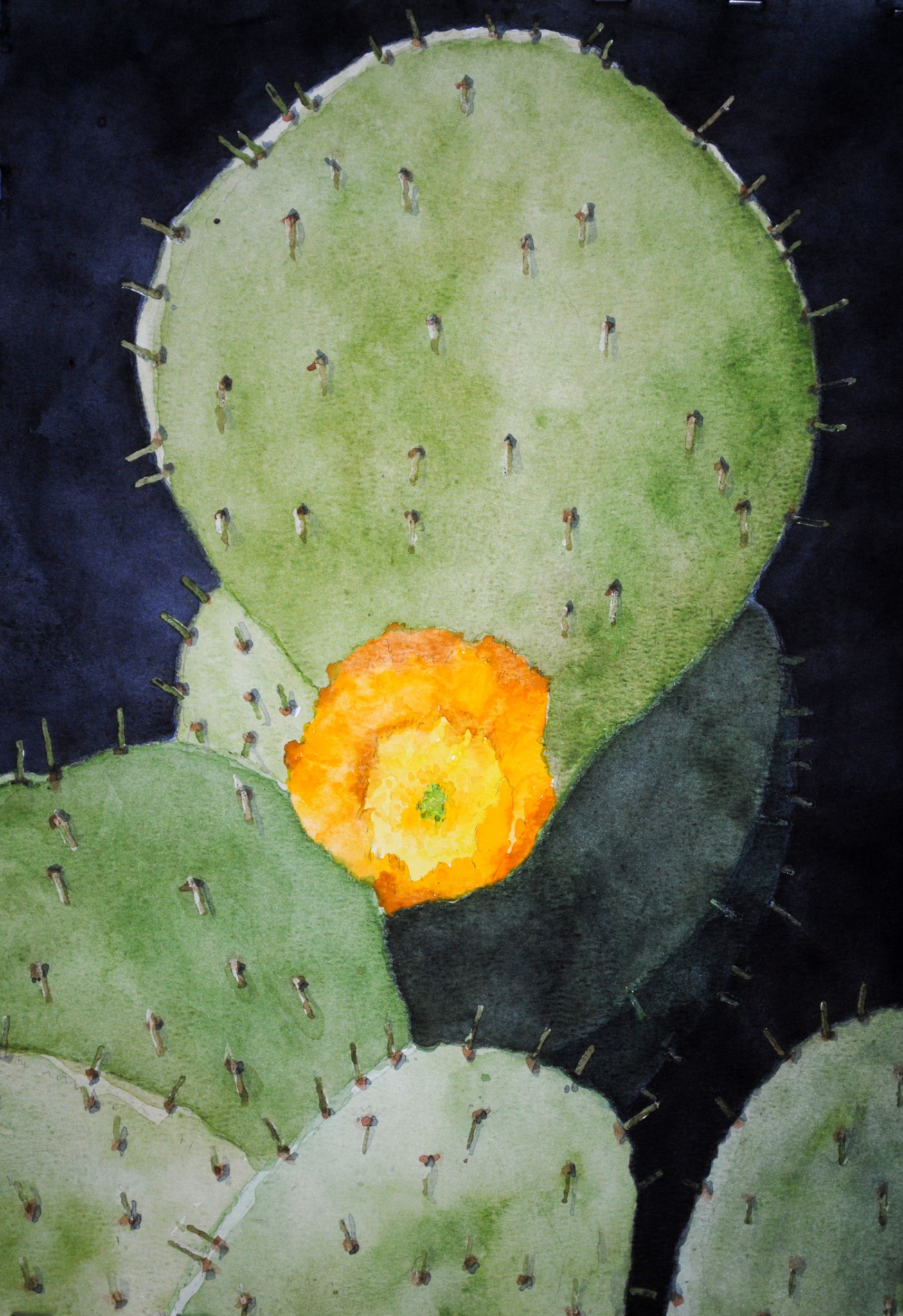 Click here to view backyard cactus 2 by sherman barnes