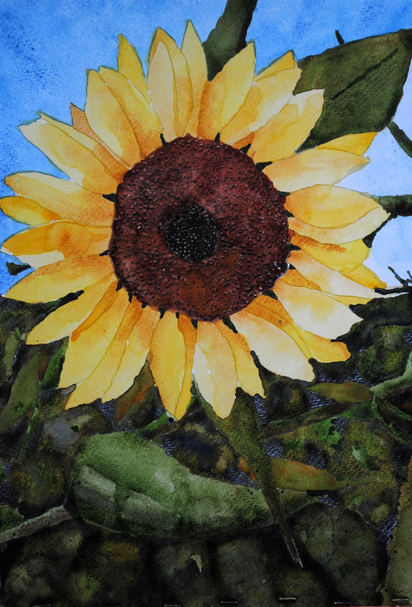 Click here to view sunflower by sherman barnes