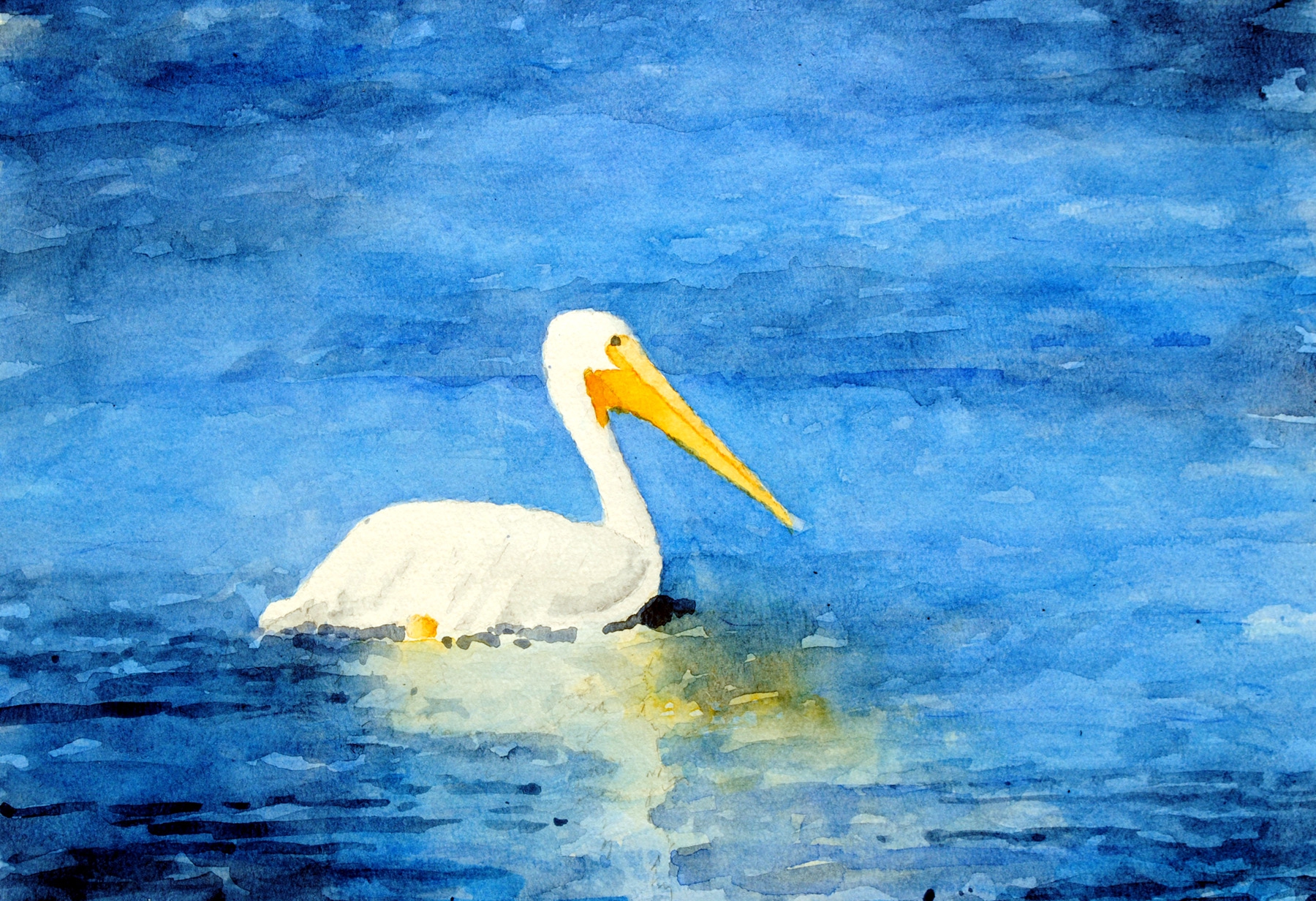 Click here to view wheeler lake pelican by sherman barnes